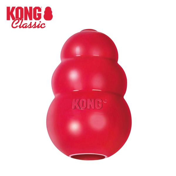 Large Kong for dog 15-30kg