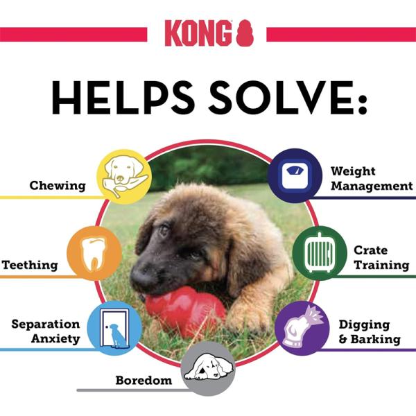 Large Kong for dog 15-30kg
