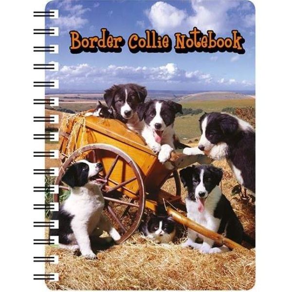 Notepad Duo, Collie w/ Maroon Border main image 0
