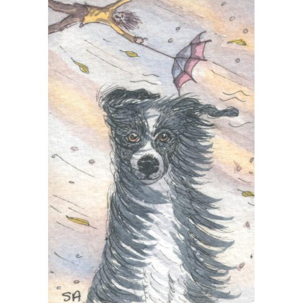 It's A Trifle Breezy