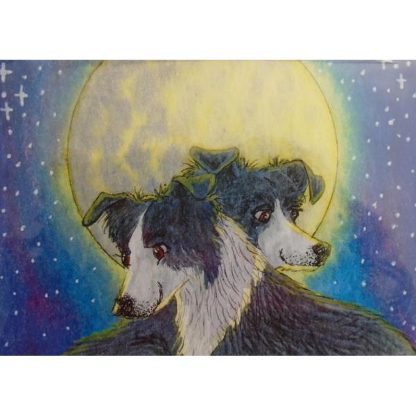 By The Light Of The Moon